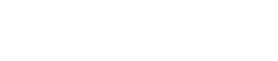 Freedom Concept