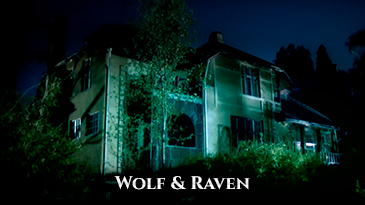 Wolf & Raven